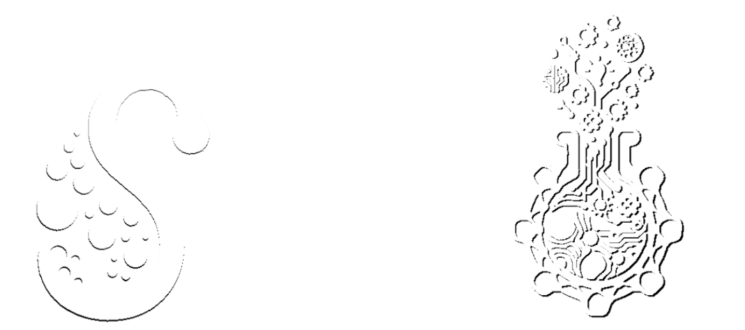 Sinapsis Lab